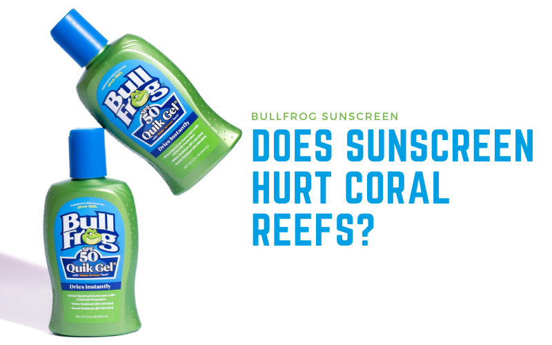 Bullfrog Blog – Tagged Does Sunscreen Hurt Coral Reefs – Bullfrog  Sunscreen & Insect Repellent